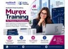 Multisoft Virtual Academy Murex Training for Finance Professionals