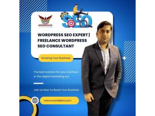 WordPress SEO Expert | Freelance WordPress SEO Consultant