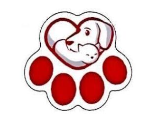 Low Cost Vet Clinic Las Vegas for Compassionate Pet Care