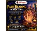 Palm Reading in New York