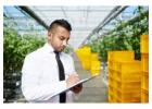 Reliable Fda Registration In Dallas, Tx