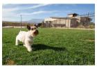 Gateway RV Resort | Pet Friendly RV Park for RV Travelers