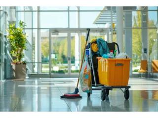 Professional Commercial Cleaning Services for a Cleaner Workplace