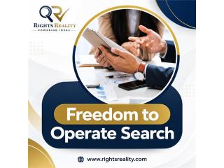 Freedom to Operate Search