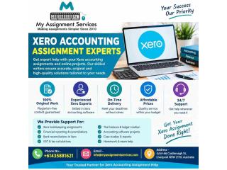 Reliable Xero Accounting Assignment Experts for Students