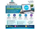 Reliable Xero Accounting Assignment Experts for Students