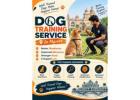 Dog Training Service
