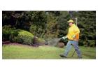 Ground Maintenance and Weed Control Services in Texas