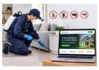 Pest Control WordPress Theme Features for Presenting Pest Inspection Reports