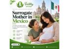 Exploring Gestational Surrogacy and Family Building in Mexico