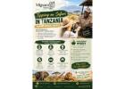 Tipping on Safari in Tanzania – Plan Your Safari Budget Wisely 