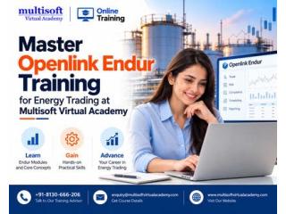 Master Openlink Endur Training for Energy Trading at Multisoft Virtual Academy