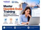 Master Openlink Endur Training for Energy Trading at Multisoft Virtual Academy