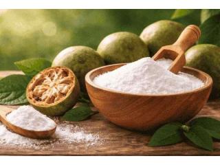 Buy Pure Monk Fruit Extract Online in India | Monk Nectar®