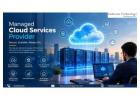 Managed cloud services provider