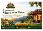 Make Your Corbett Escape Memorable at Namo Corbett Resort