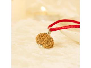 Buy Single Rudraksha Beads Online from AstroGuruji