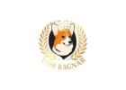 Well Cared Pembroke Welsh Corgi Puppies for Illinois Families