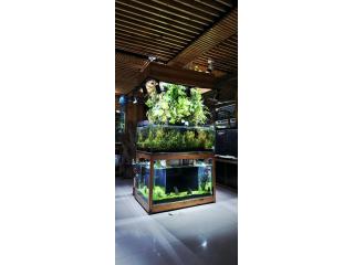 Title: Blessings Aquarium – Premium Fish Tanks, Aquascaping &