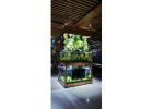 Title: Blessings Aquarium – Premium Fish Tanks, Aquascaping &amp