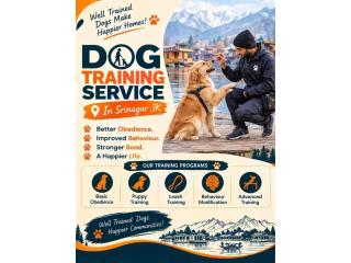Dog Training Service