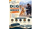 Dog Training Service