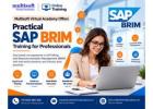 Multisoft Virtual Academy Offers Practical SAP BRIM Training for Professionals