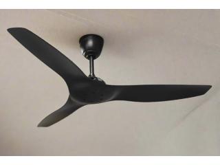Elegant Designer Silent Ceiling Fan by Wadbros