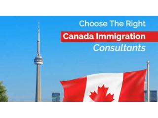 Trusted Canadian Immigration Consultant for Your Immigration Journey
