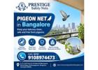 Pigeon net in bangalore