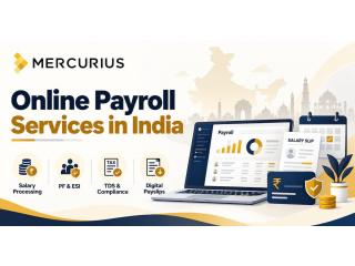 Employee Payroll Management Solutions in India