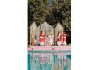 Destination Wedding at Aahana Resort in Jim Corbett