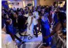 Find  Wedding DJ in St Louis for Your Celebration 