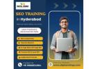 Digital Wiings – Premium SEO Online Training in Hyderabad for High-Search Visibility