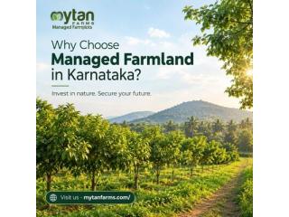 Why Choose Managed Farmland in Karnataka?