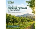 Why Choose Managed Farmland in Karnataka?