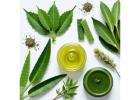 Botanical Products for Agricultural Formulations