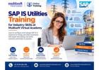 SAP IS Utilities Training for Industry Skills at Multisoft Virtual Academy