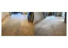 Tackle Persistent Pet Accidents with Specialist Cleaning