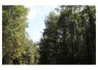Where Are the Best Private RV Site in Westfield Parish, NB- Robin Hood Lake