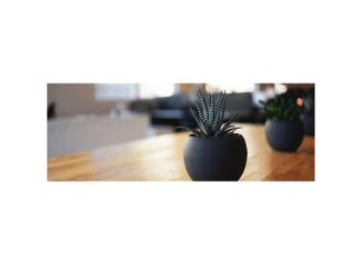 Personalized CBT Therapy Services in Barrington for Better Wellbeing