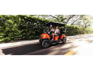 Explore Road-Ready Options with Low Speed Vehicle for Sale