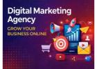 B2B digital marketing agency in noida