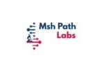 Blood Test at Home in Delhi-MSH Pathlabs