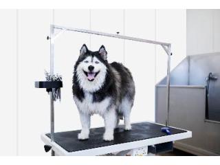 PVC Dog Kennel Walls Ensure A Clean And Durable Structure