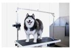 PVC Dog Kennel Walls Ensure A Clean And Durable Structure