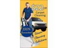 Morton Carpet Cleaning