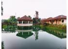 Sundarban Beckons Resort- Best Resort in Sundarban