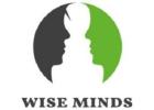 Flexible Hiring With a Dedicated Development Team | Wise Minds