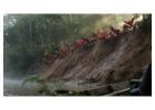 Chuncho Macaw Clay Lick Tours & Sandoval Lake 4-Day Amazon Expeditions | Tree House Inn